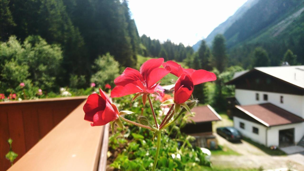 Haus Waldheim Ξενοδοχείο Sankt Leonhard im Pitztal Εξωτερικό φωτογραφία