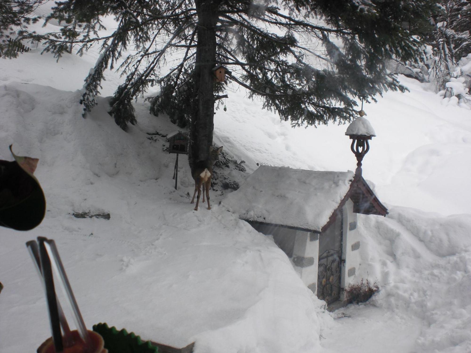 Haus Waldheim Ξενοδοχείο Sankt Leonhard im Pitztal Εξωτερικό φωτογραφία