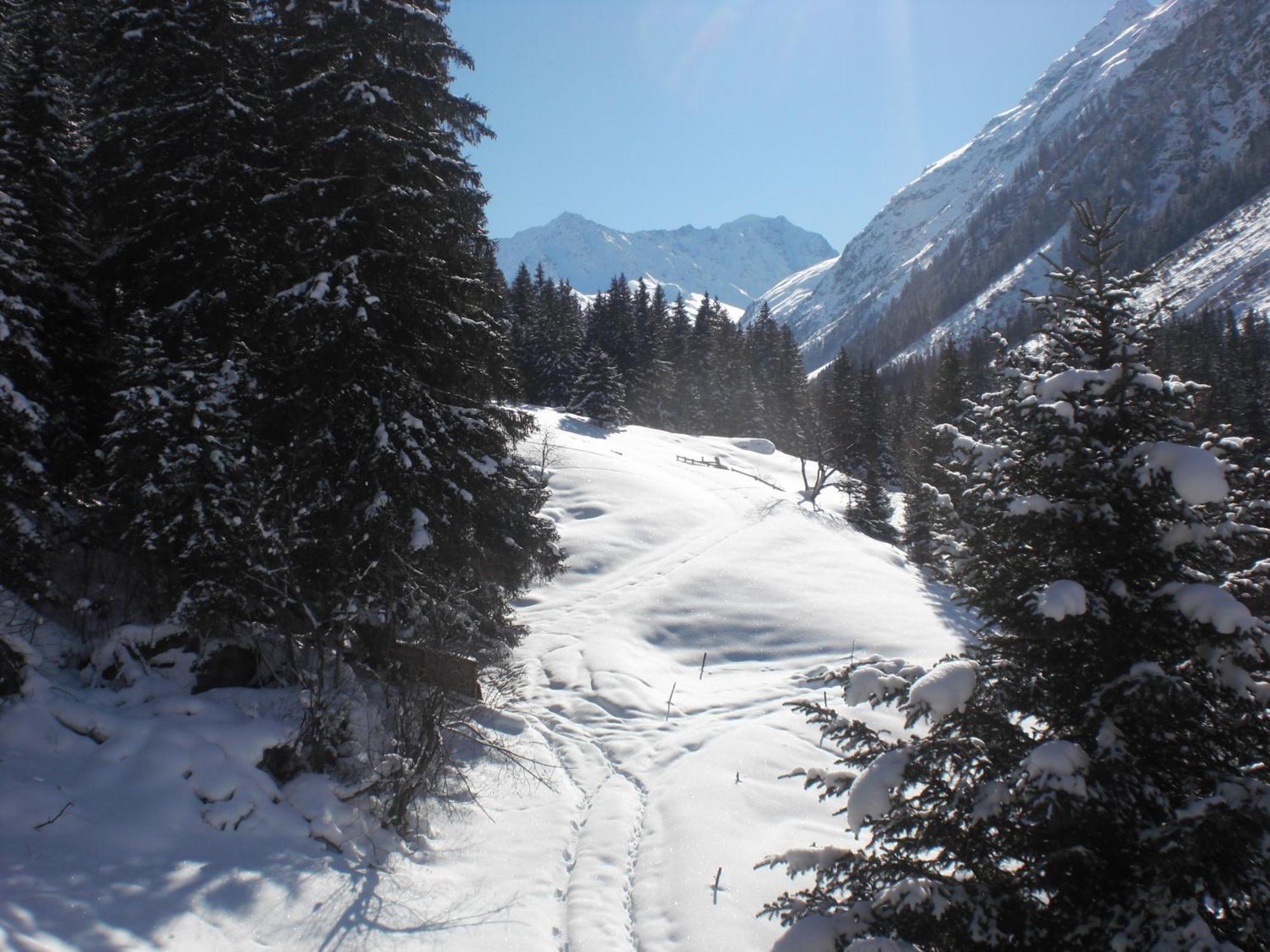 Haus Waldheim Ξενοδοχείο Sankt Leonhard im Pitztal Εξωτερικό φωτογραφία